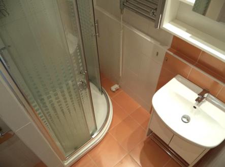. | Pronájem bytu, 1+kk, 30 m²