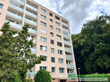 Pronájem bytu, 1+kk, 30 m² obrázek