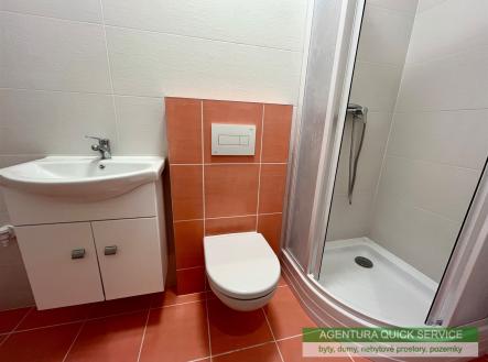 . | Pronájem bytu, 1+1, 47 m²