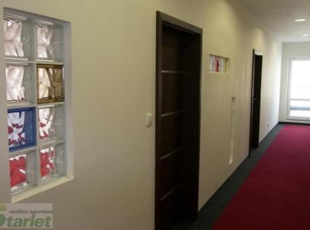 Pronájem - kanceláře, 18 m²