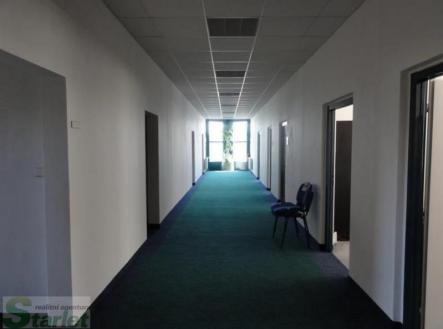 fotografie | Pronájem - kanceláře, 13 m²