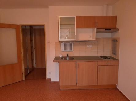 20250327_082727.jpg | Pronájem bytu, 1+kk, 23 m²