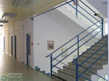 fotografie | Pronájem - kanceláře, 14 m²