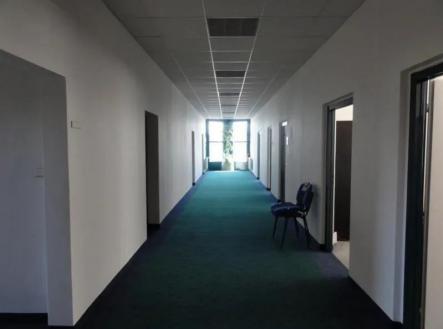 fotografie | Pronájem - kanceláře, 40 m²