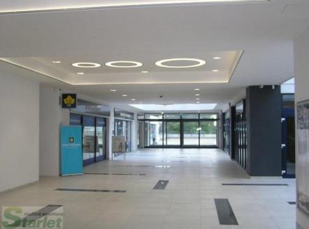 fotografie | Pronájem - kanceláře, 83 m²