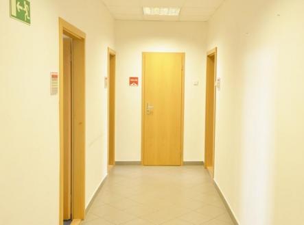 Amigal group Eva Krystnkov Holeovice 094.JPG | Pronájem - kanceláře, 20 m²