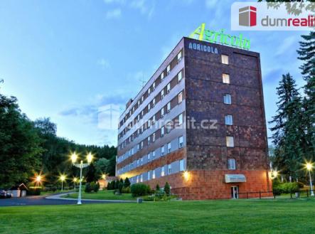 Prodej - hotel, 12 205 m² obrázek