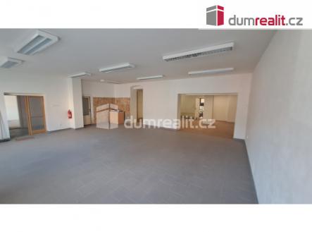 Prodej - dům/vila, 769 m²
