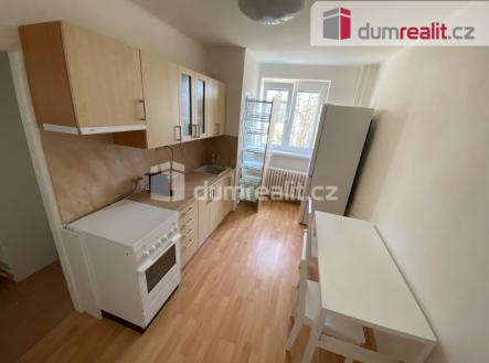 Pronájem bytu, 1+1, 46 m² obrázek