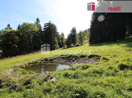 2 | Prodej - pozemek pro bydlení, 4 233 m²