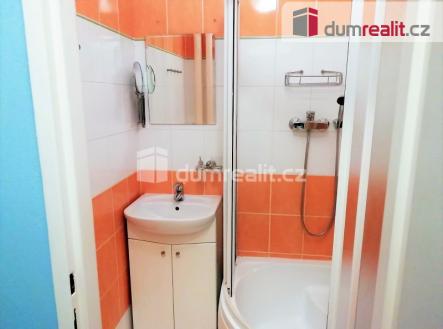 3 | Pronájem bytu, 1+1, 38 m²