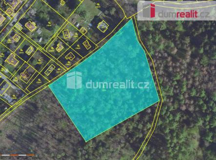 1 | Prodej - pozemek, les, 10 086 m²