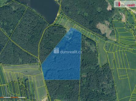 1 | Prodej - pozemek, les, 63 319 m²