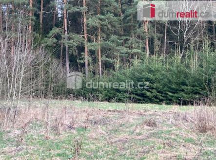 3 | Prodej - pozemek, les, 63 319 m²