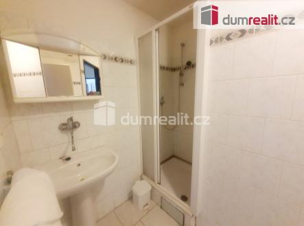 8 | Pronájem bytu, atypický, 18 m²