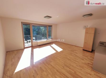 1 | Pronájem bytu, 1+kk, 48 m²