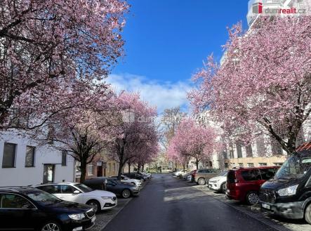 8 | Pronájem bytu, 2+kk, 51 m²