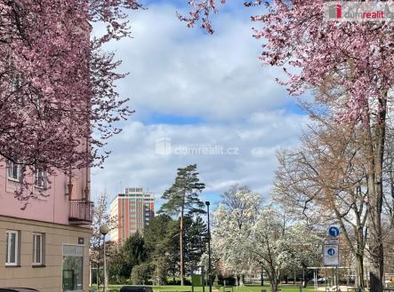 9 | Pronájem bytu, 2+kk, 51 m²