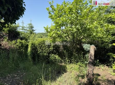 4 | Prodej - pozemek, zahrada, 420 m²