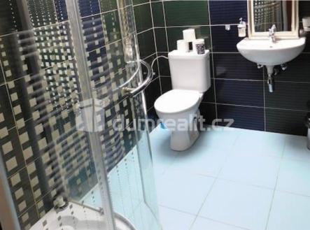 4 | Pronájem bytu, 1+kk, 18 m²