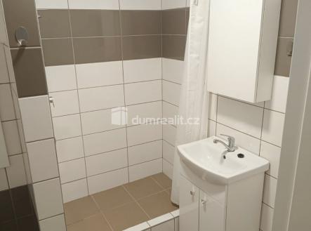 4 | Pronájem bytu, 1+1, 36 m²