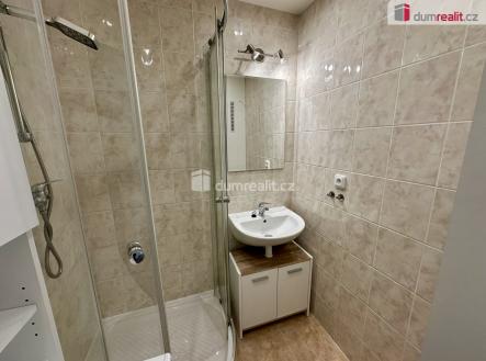 2 | Pronájem bytu, 2+1, 54 m²