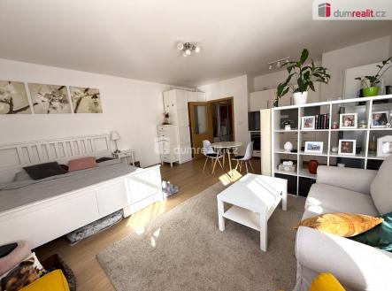 4 | Pronájem bytu, 1+kk, 38 m²