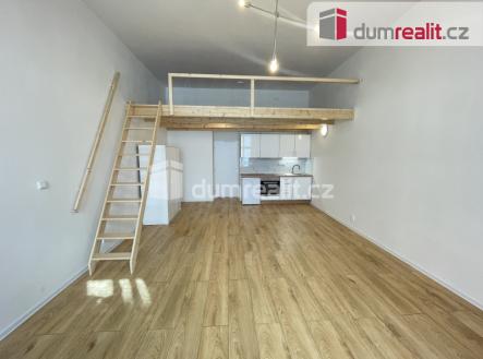 3 | Pronájem bytu, 1+kk, 45 m²