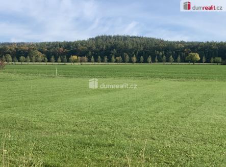 3 | Prodej - pozemek pro bydlení, 3 906 m²