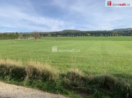 4 | Prodej - pozemek pro bydlení, 3 906 m²