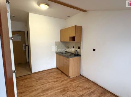 Pronájem bytu, 1+kk, 18 m² obrázek