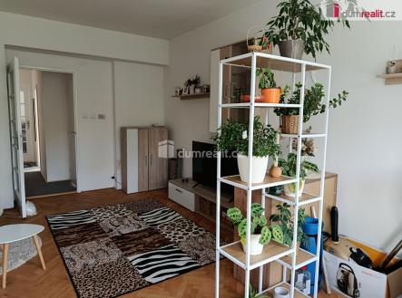 4 | Pronájem bytu, 2+1, 53 m²