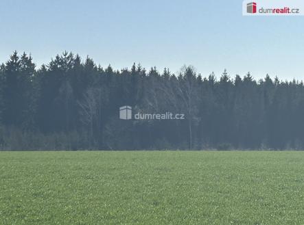 2 | Prodej - pozemek, les, 38 487 m²