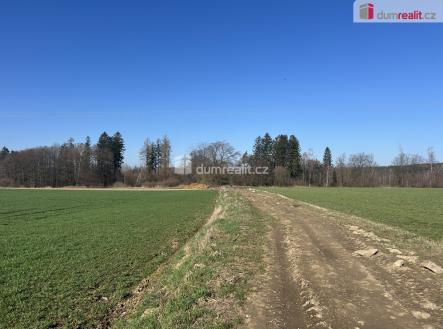4 | Prodej - pozemek, les, 38 487 m²