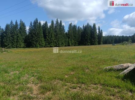 3 | Prodej - pozemek pro bydlení, 3 720 m²