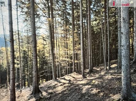 4 | Prodej - pozemek, les, 106 600 m²