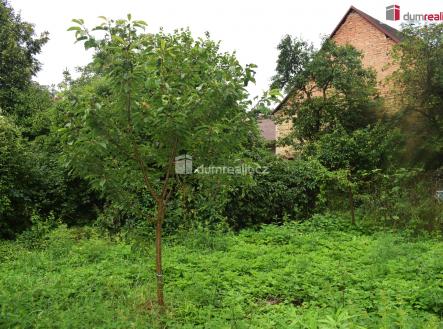 3 | Prodej - pozemek, zahrada, 636 m²