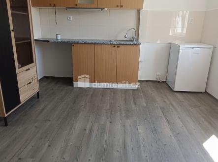 1 | Pronájem bytu, 1+kk, 18 m²
