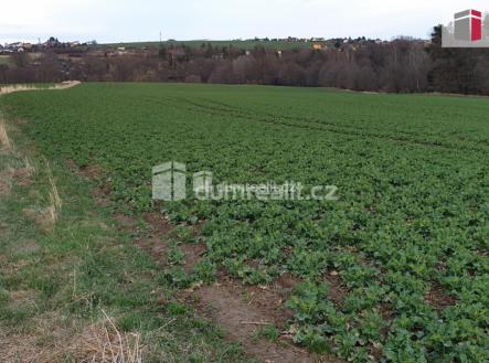 4 | Prodej - pozemek, zemědělská půda, 3 516 m²