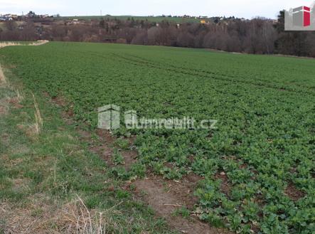 5 | Prodej - pozemek, zemědělská půda, 3 516 m²
