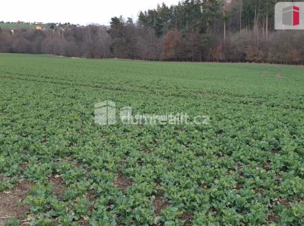 1 | Prodej - pozemek, zemědělská půda, 3 516 m²