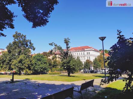 19 | Pronájem - kanceláře, 18 m²