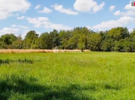 2 | Prodej - pozemek, zahrada, 1 141 m²