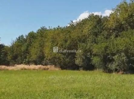 3 | Prodej - pozemek, zahrada, 1 141 m²