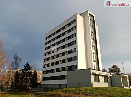 1 | Pronájem bytu, 1+kk, 20 m²