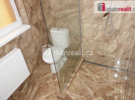 3 | Pronájem bytu, 1+1, 45 m²