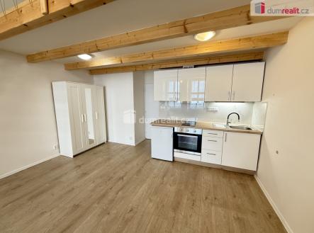 3 | Pronájem bytu, 1+kk, 48 m²