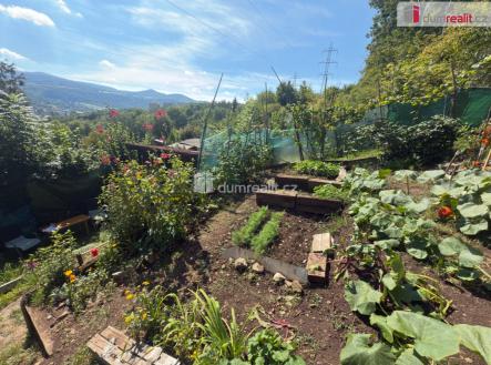 4 | Pronájem - pozemek, zahrada, 693 m²