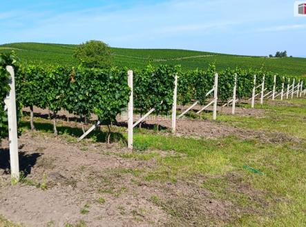 2 | Prodej - pozemek, zemědělská půda, 20 996 m²