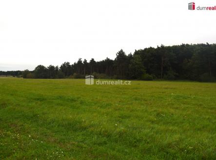 1 | Prodej - pozemek, zemědělská půda, 6 490 m²